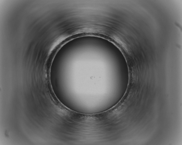 X0000097751070200803141551