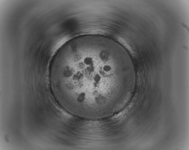 X0000097751071200803141551