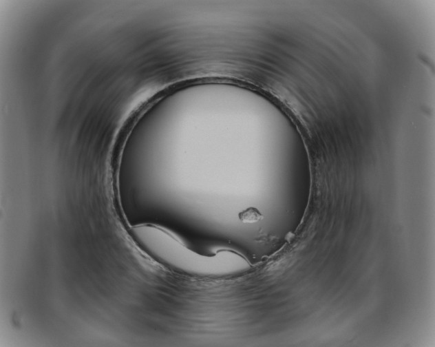 X0000097751072200803141551