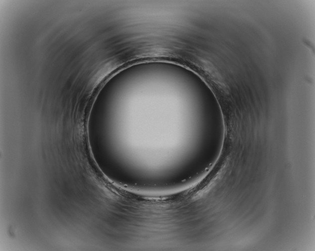 X0000097751073200803141551