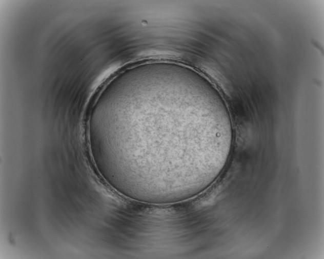 X0000097751074200803141551