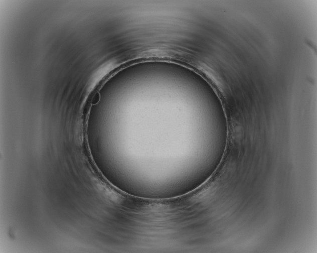 X0000097751075200803141551