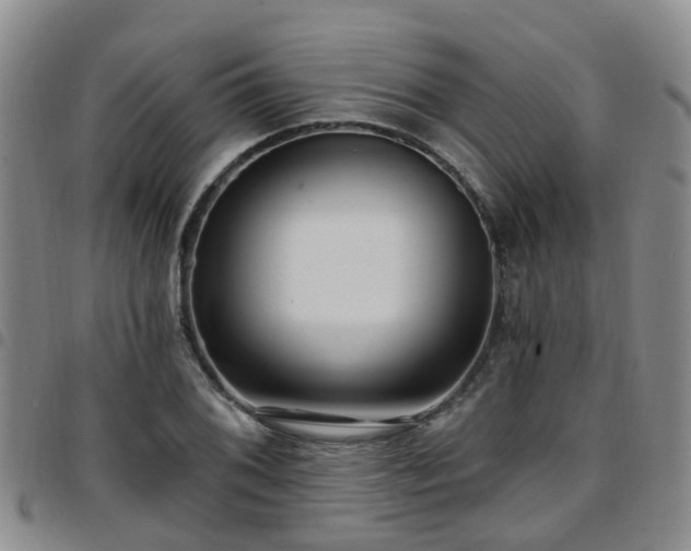 X0000097751076200803141551