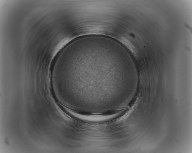 X0000097751077200803141551