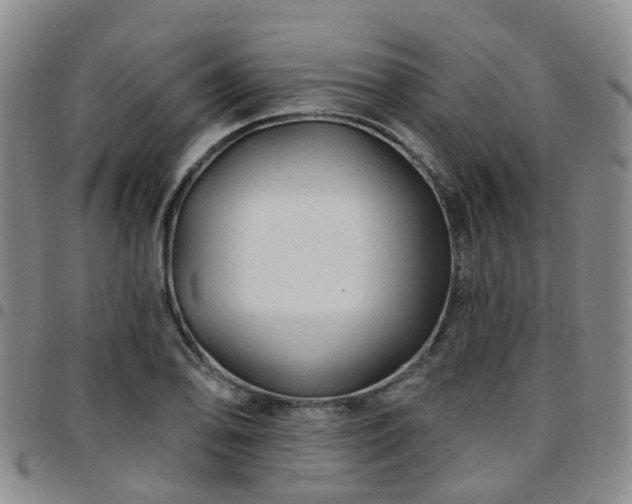 X0000097751078200803141551