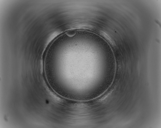 X0000097751079200803141551