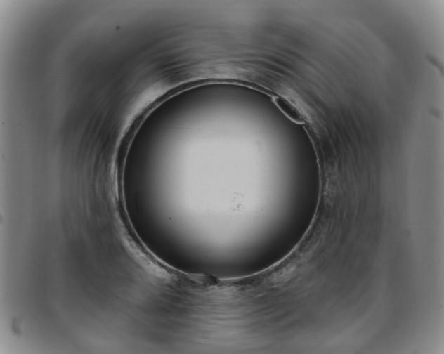 X0000097751080200803141551