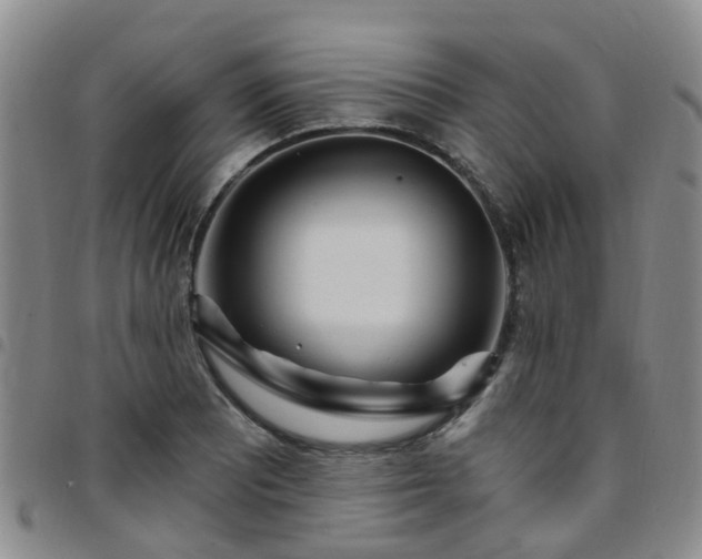 X0000097751081200803141551