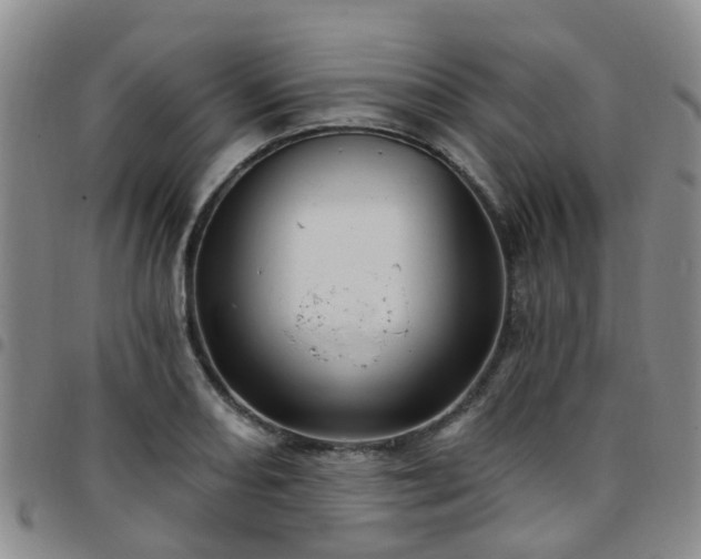 X0000097751082200803141551