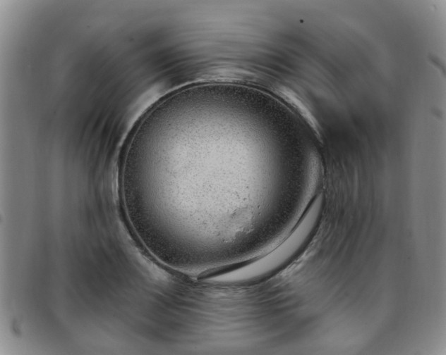 X0000097751083200803141551