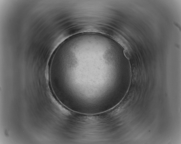 X0000097751084200803141551