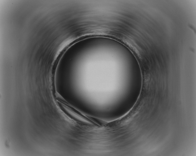 X0000097751085200803141551