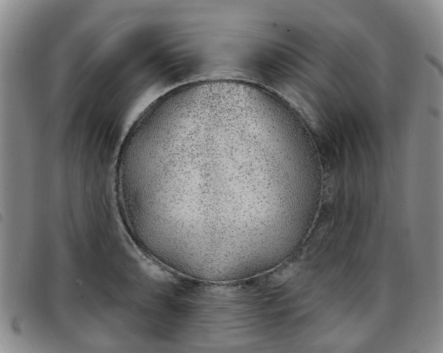 X0000097751086200803141551