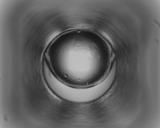 X0000097751087200803141551