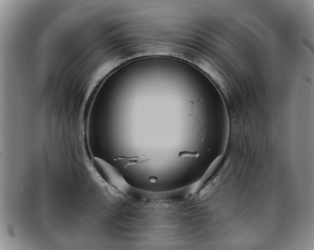 X0000097751088200803141551