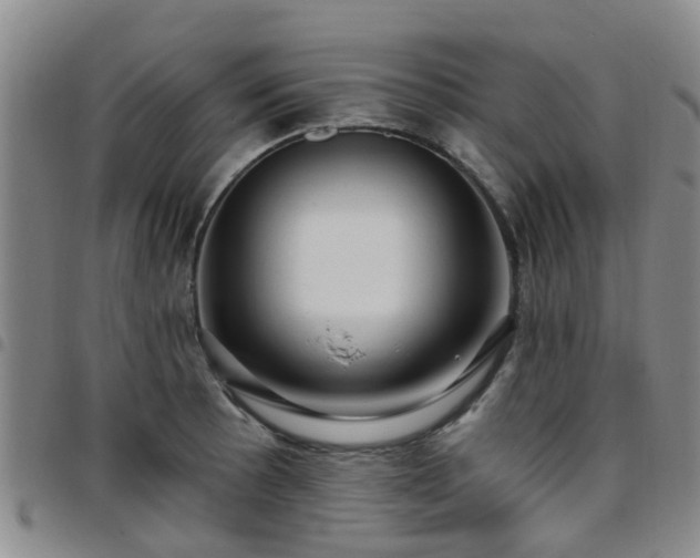 X0000097751089200803141551