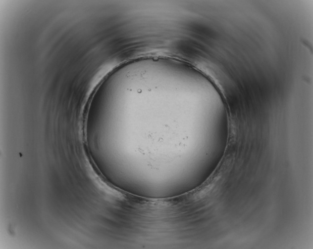 X0000097751090200803141551