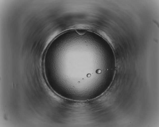 X0000097751091200803141551