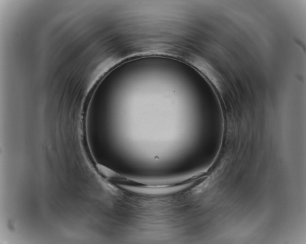 X0000097751093200803141551