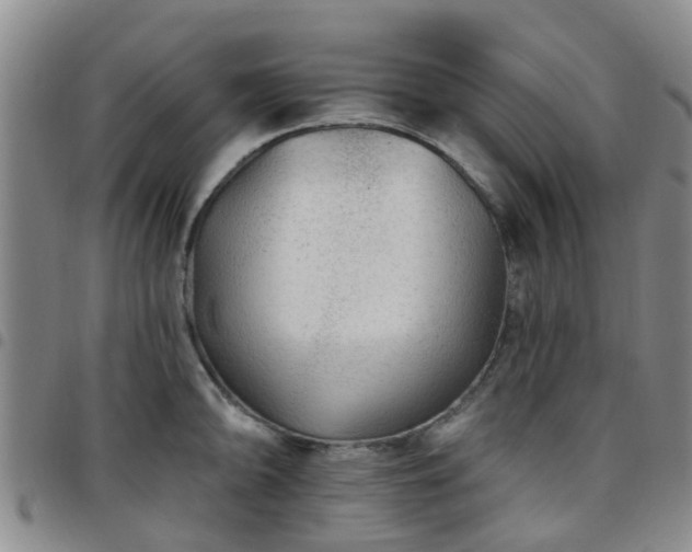 X0000097751094200803141551