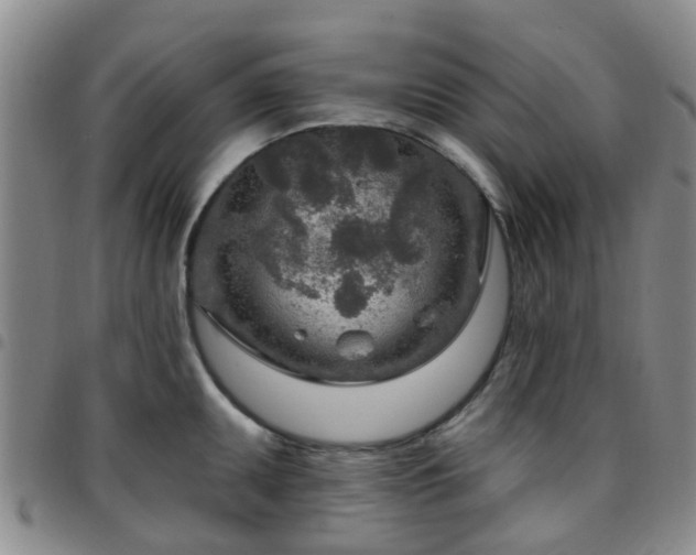 X0000097751095200803141551