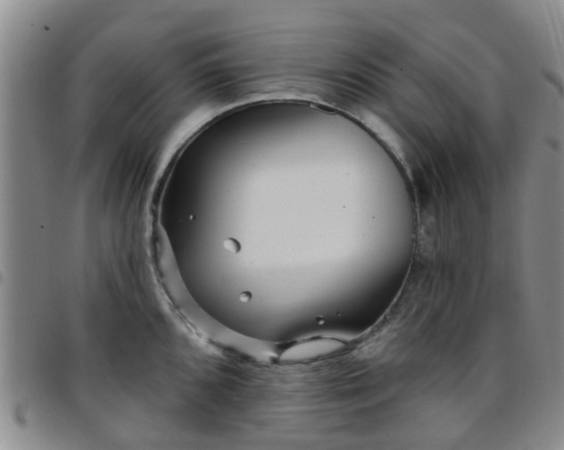 X0000097751096200803141551