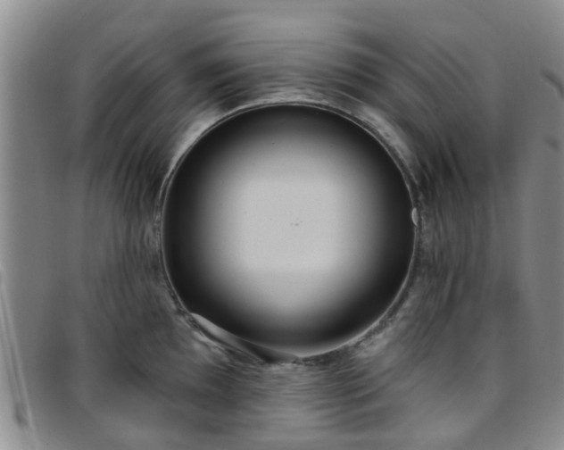 X0000097751097200803141551