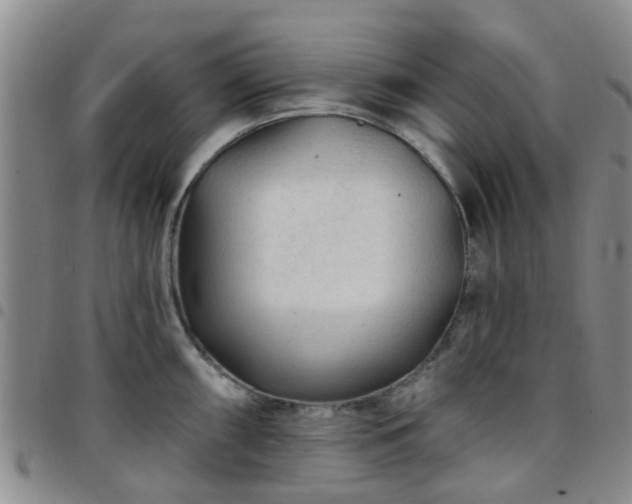 X0000097751098200803141551