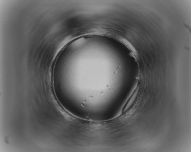 X0000097751099200803141551