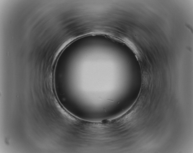 X0000097751100200803141551