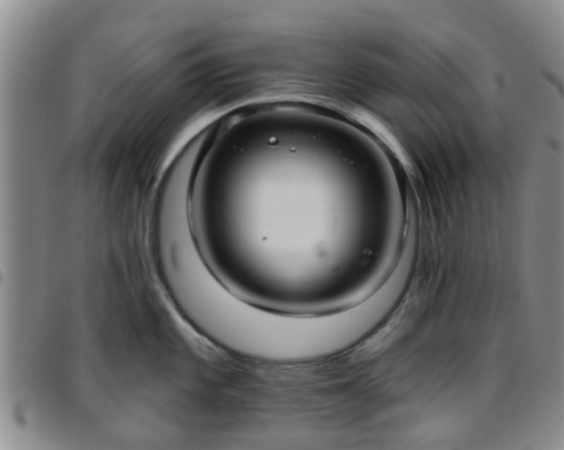 X0000097751101200803141551