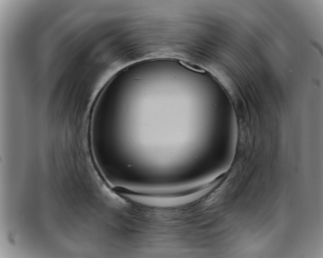 X0000097751102200803141551