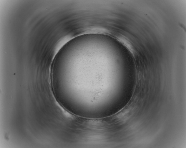 X0000097751103200803141551