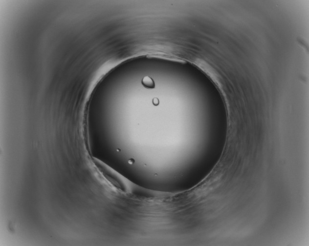 X0000097751104200803141551