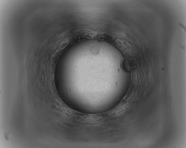 X0000097751105200803141550