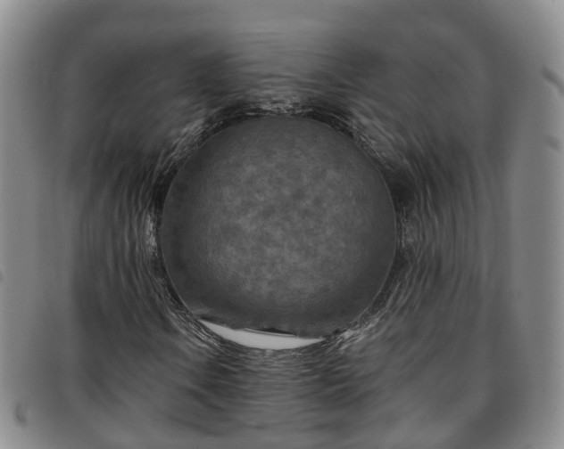 X0000097751106200803141550