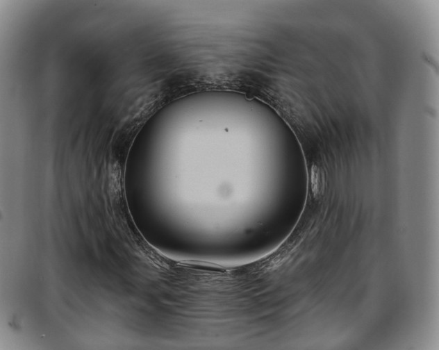 X0000097751107200803141550