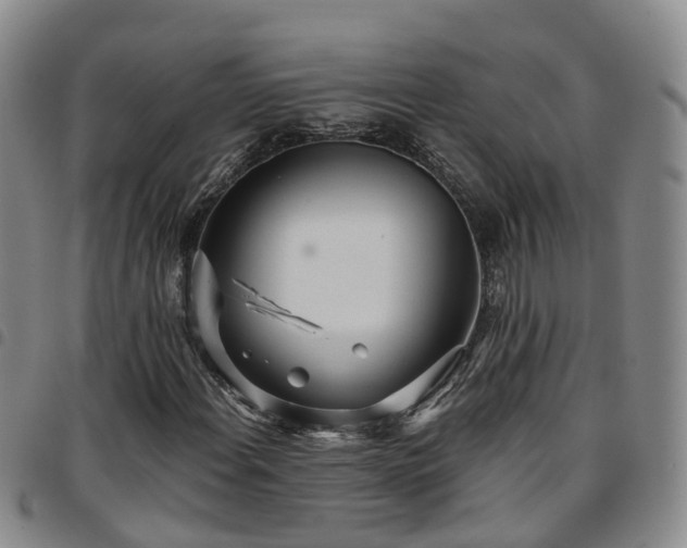 X0000097751108200803141550