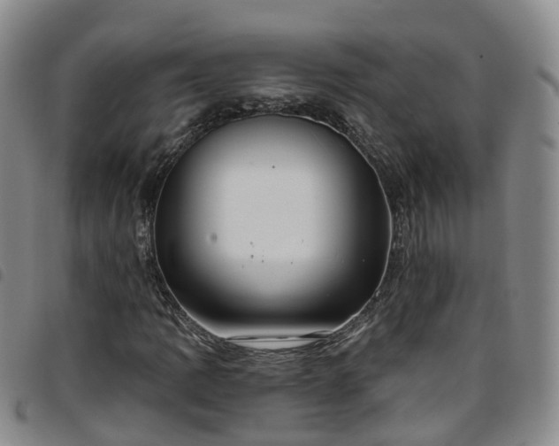 X0000097751109200803141550