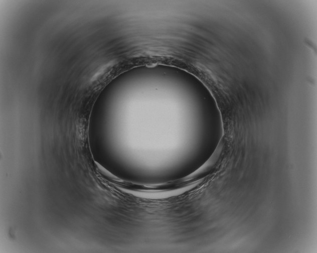 X0000097751110200803141550