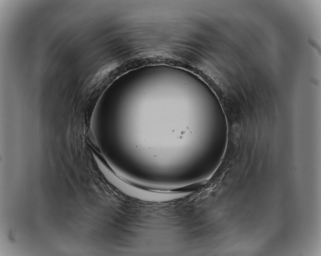 X0000097751111200803141550