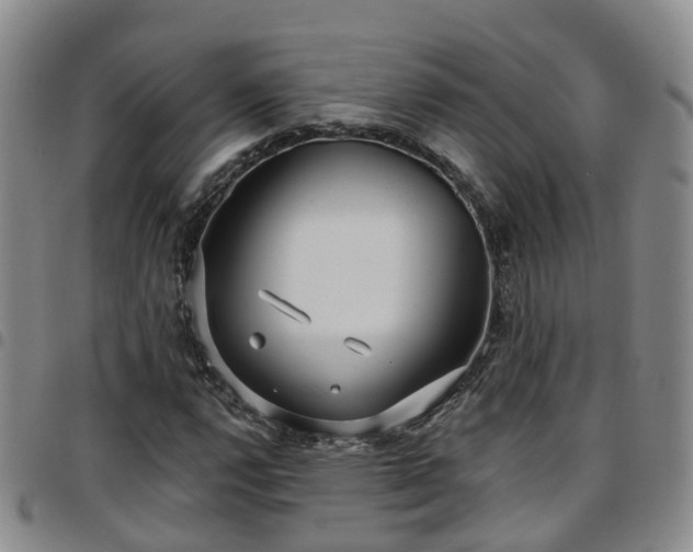 X0000097751112200803141550