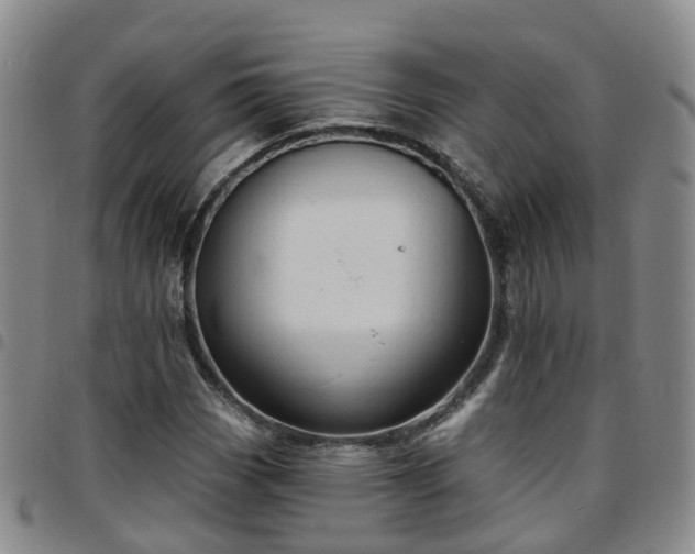 X0000097751113200803141550