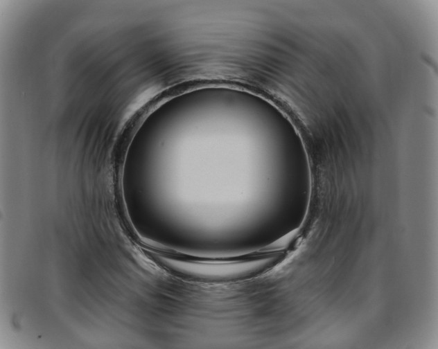 X0000097751114200803141550