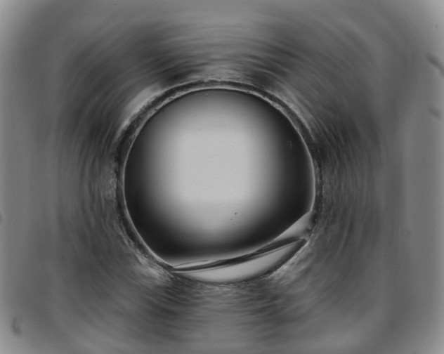 X0000097751115200803141550