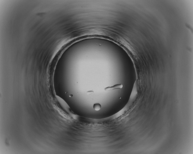 X0000097751116200803141550