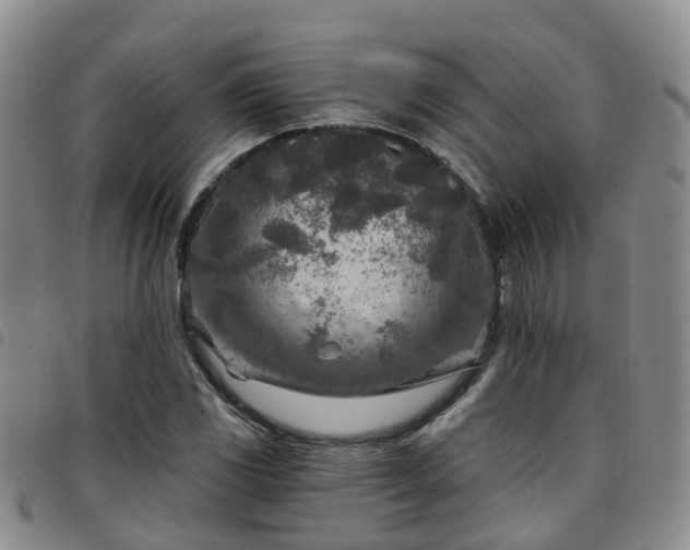 X0000097751117200803141550