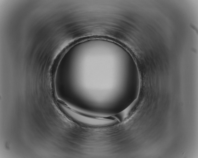 X0000097751118200803141550