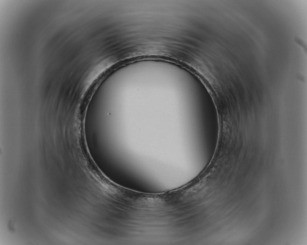 X0000097751119200803141550