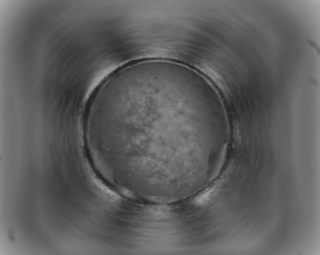 X0000097751120200803141550